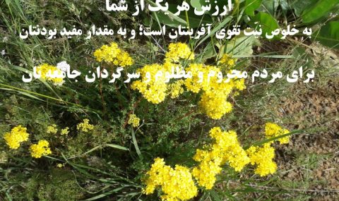 ارزش هر یک از شما