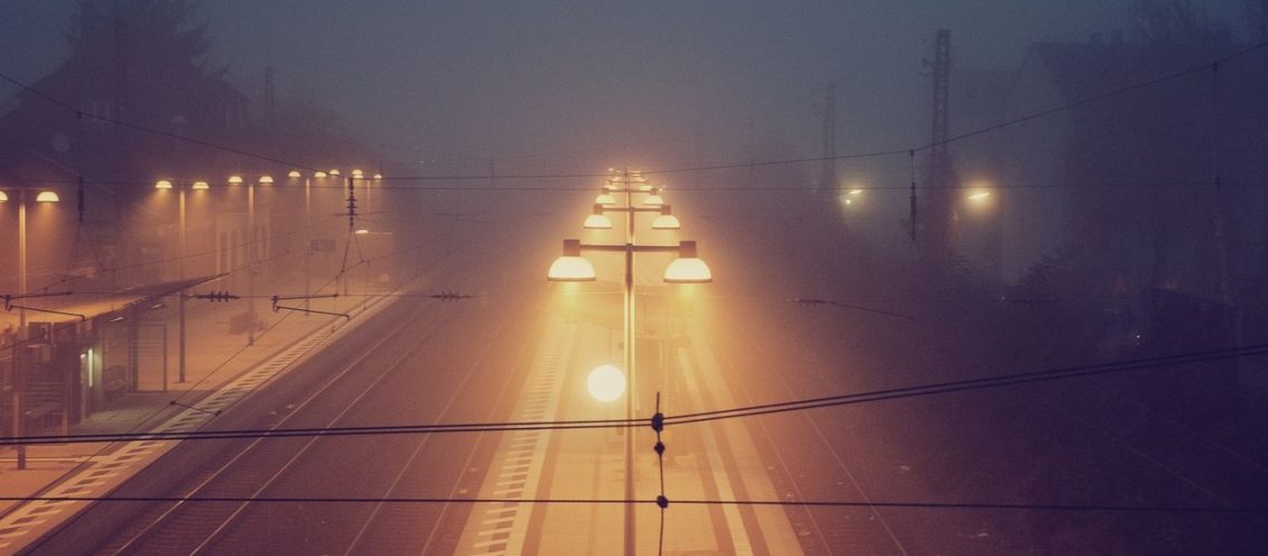 Fusce quam nunc vitae vel risus