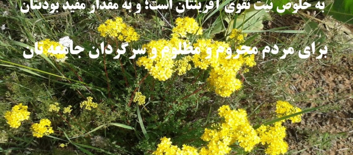 ارزش هر یک از شما