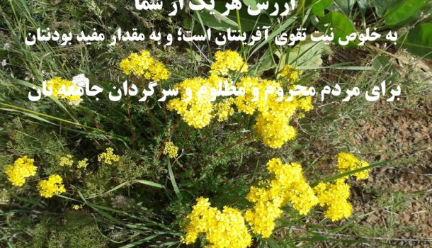ارزش هر یک از شما