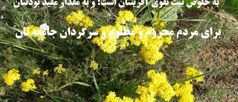 ارزش هر یک از شما