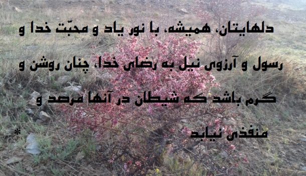 معرفی