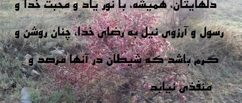معرفی