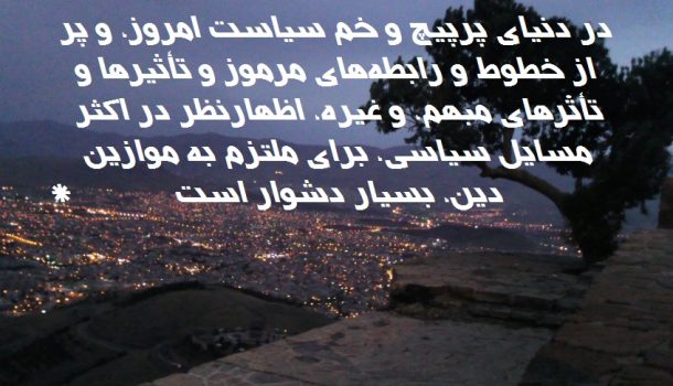 کار سیاسی