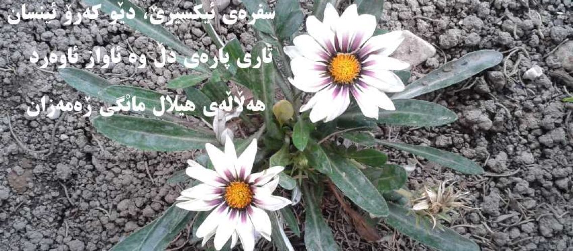 شیعری دوای باخەنەمامه