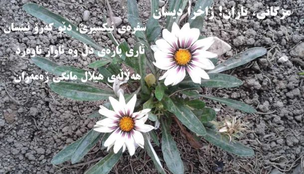 شیعری دوای باخەنەمامه
