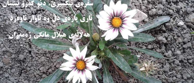 شیعری دوای باخەنەمامه